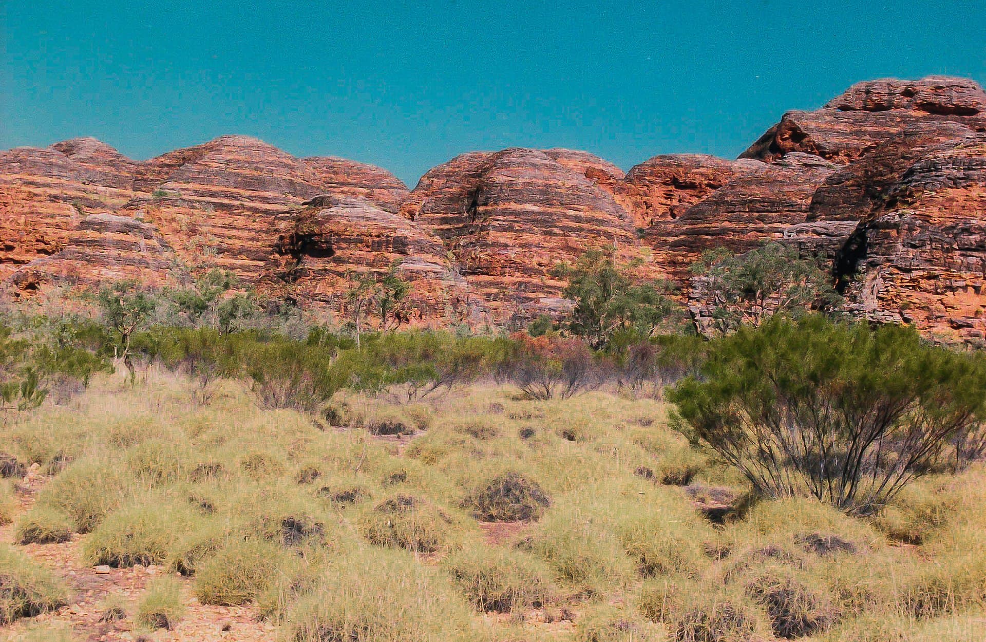 Banded orange-and-black sandstone beehive domes of the Bungle Bungle Range in Purnululu National Park.