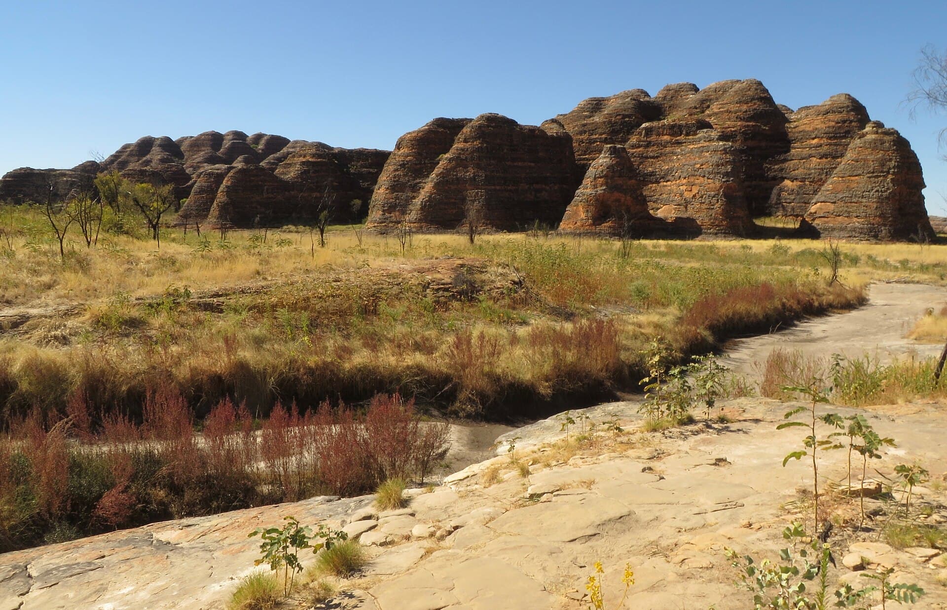 Scenic flights vs 4WD into Purnululu
