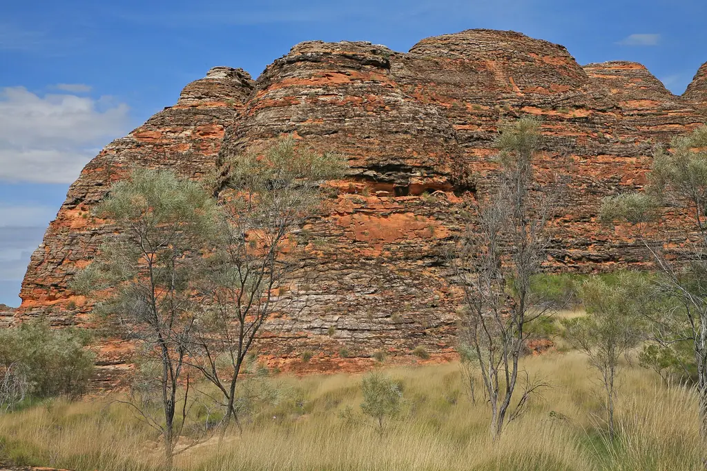 Beehive domes of the Bungle Bungle Range in Purnululu National Park