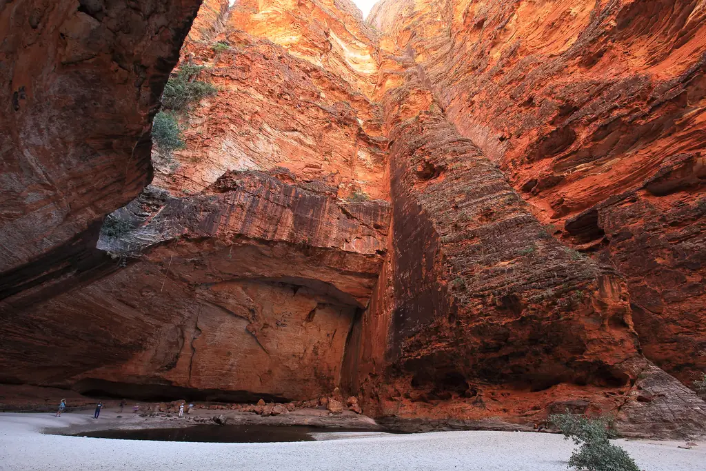 Inside Cathedral Gorge, a vast natural amphitheatre in Purnululu National Park